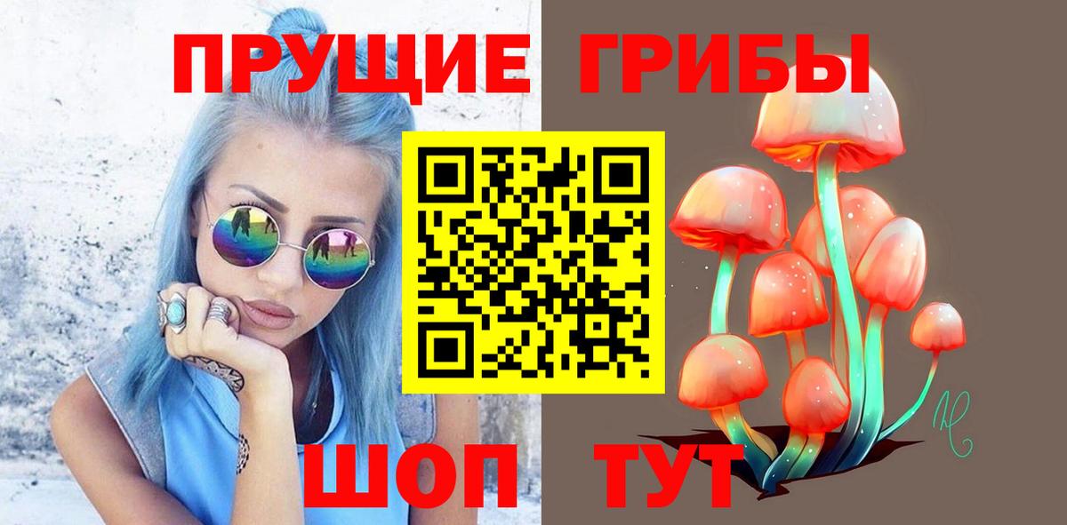 Галлюциногенные грибы Psilocybe Фурманов